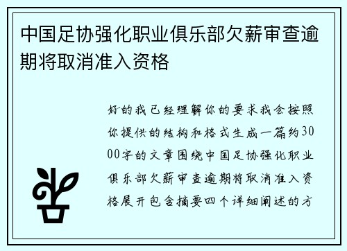 中国足协强化职业俱乐部欠薪审查逾期将取消准入资格